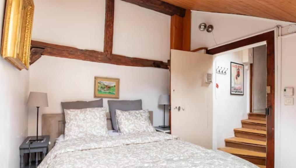Chalet Charm In The Heart Of The Old Town Annecy Ngoại thất bức ảnh